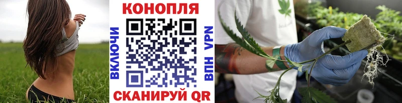 Купить закладку АМФЕТАМИН Меф мяу мяу A-PVP Сурск