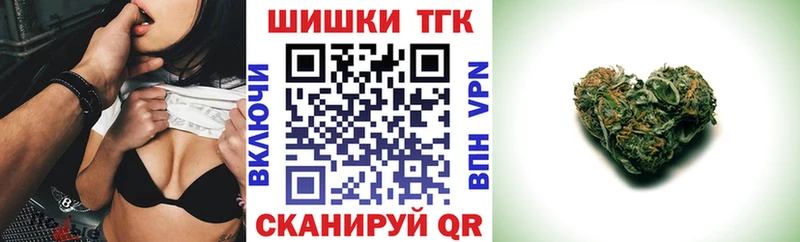 Купить закладки  Сурск  Бошки марихуана планчик 